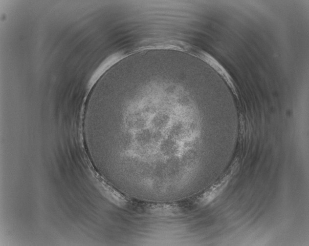 X0000067481002200604071134