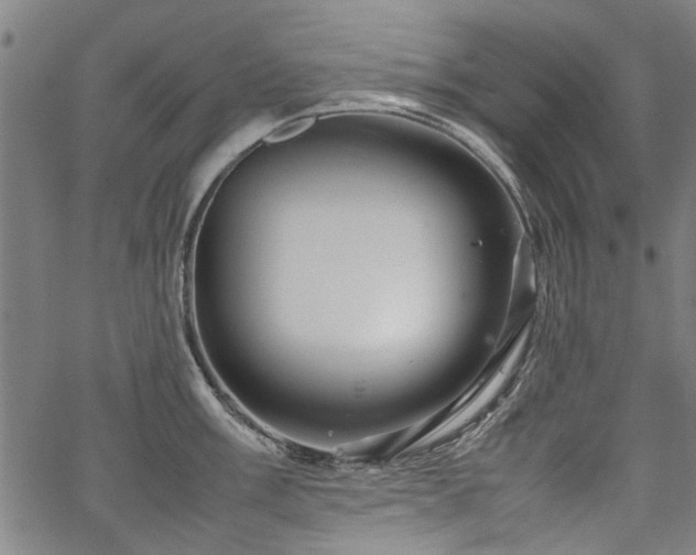 X0000067481003200604071134