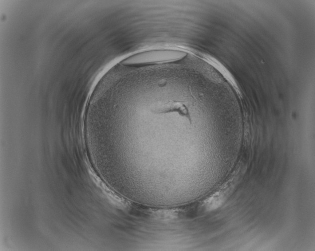 X0000067481004200604071134