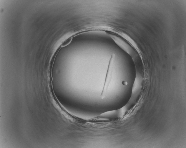 X0000067481005200604071134