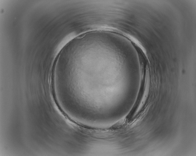 X0000067481007200604071134