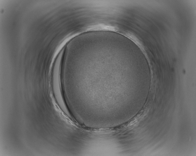 X0000067481008200604071134