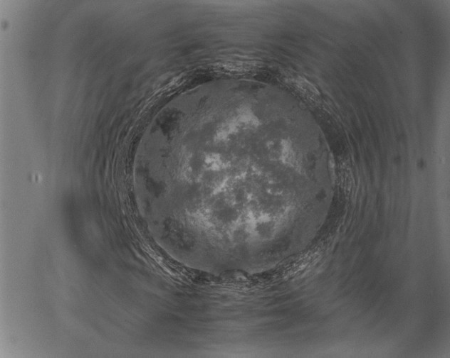 X0000067481009200604071133