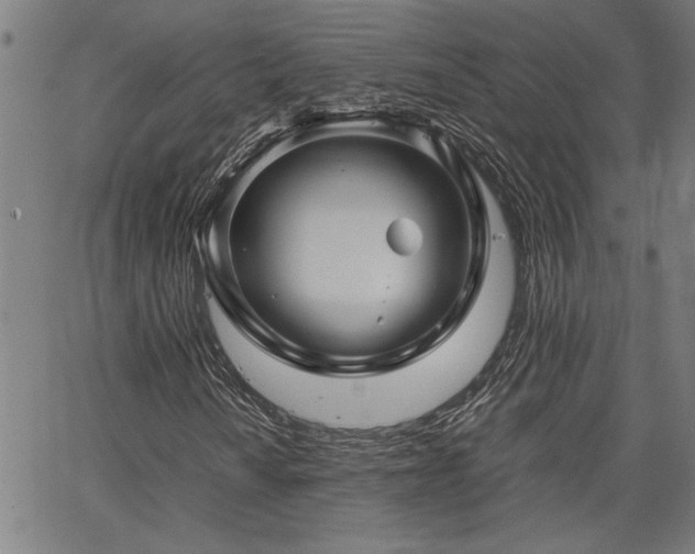 X0000067481010200604071133