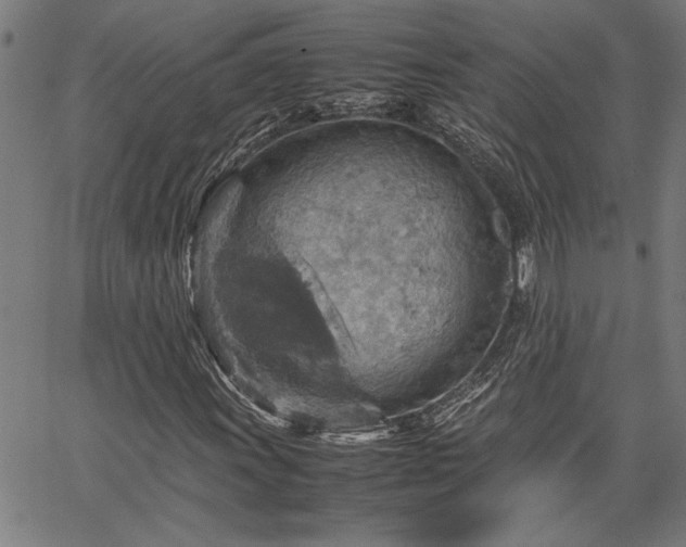 X0000067481011200604071133