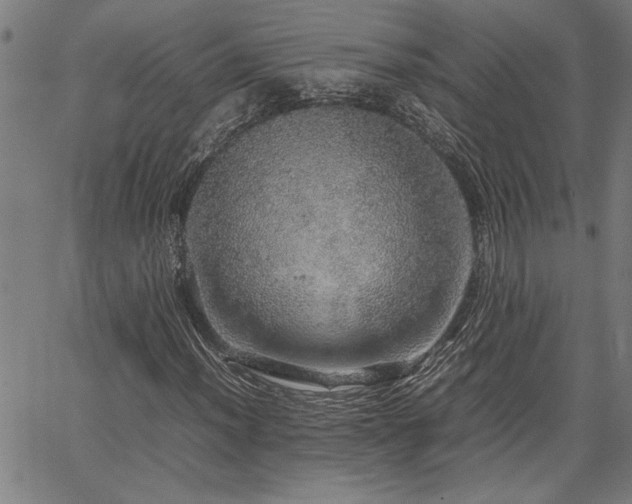 X0000067481012200604071133