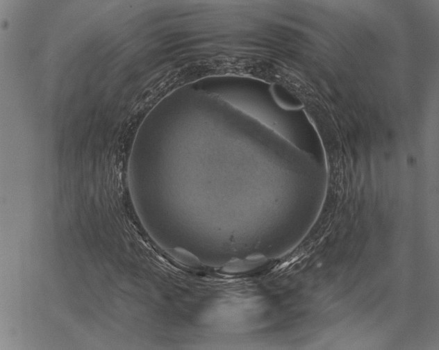 X0000067481013200604071133