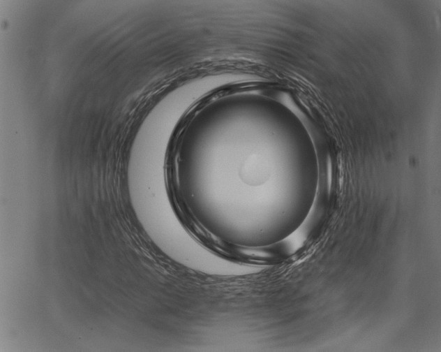 X0000067481014200604071133