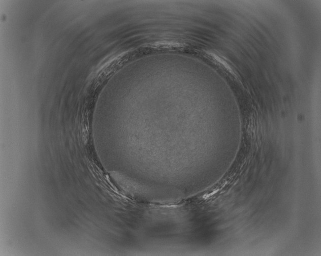 X0000067481015200604071133