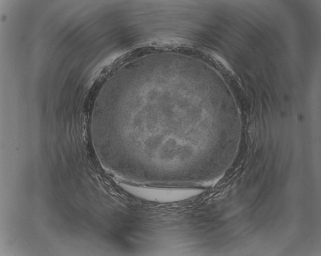 X0000067481016200604071133