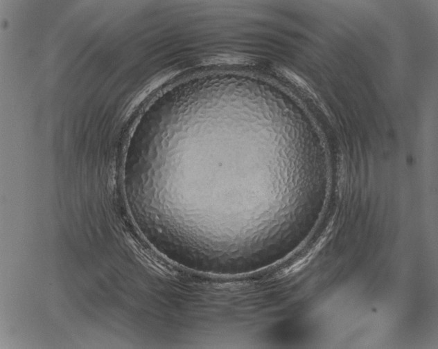 X0000067481017200604071133