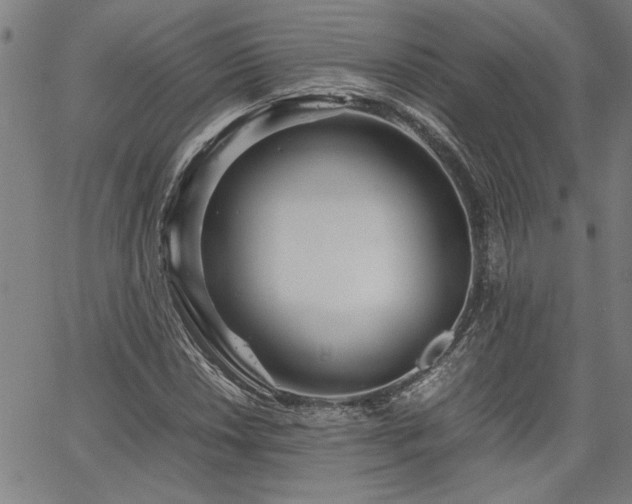 X0000067481018200604071133