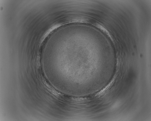 X0000067481019200604071133