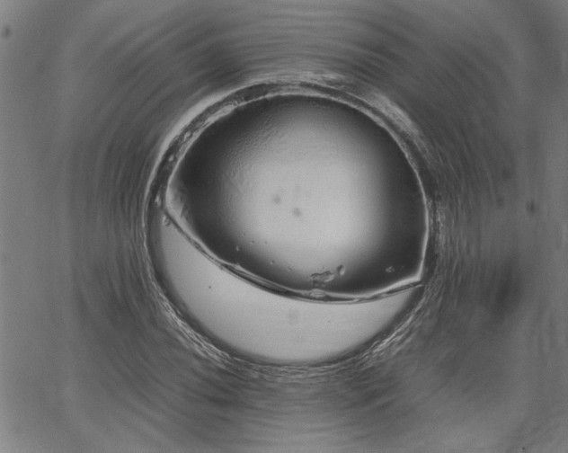 X0000067481020200604071133