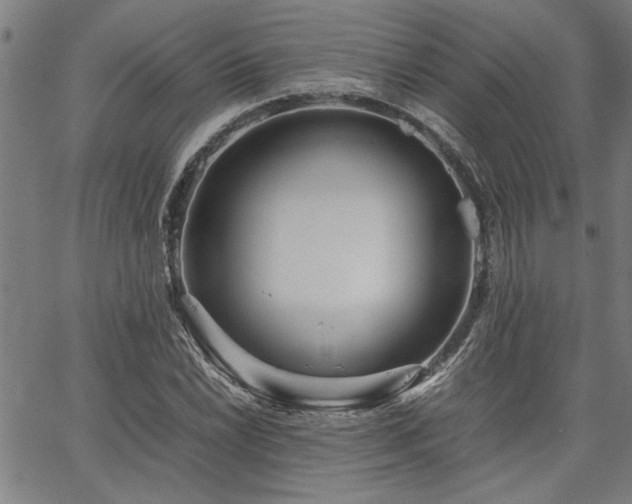 X0000067481022200604071133