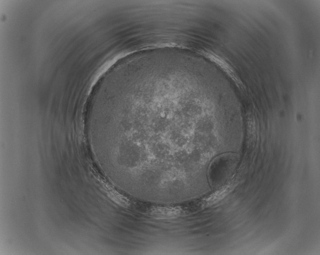 X0000067481023200604071133