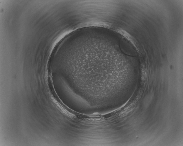 X0000067481024200604071133