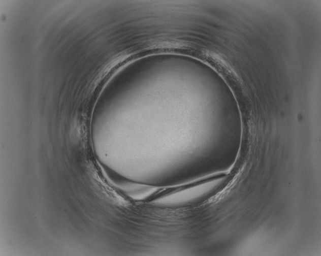 X0000067481025200604071133