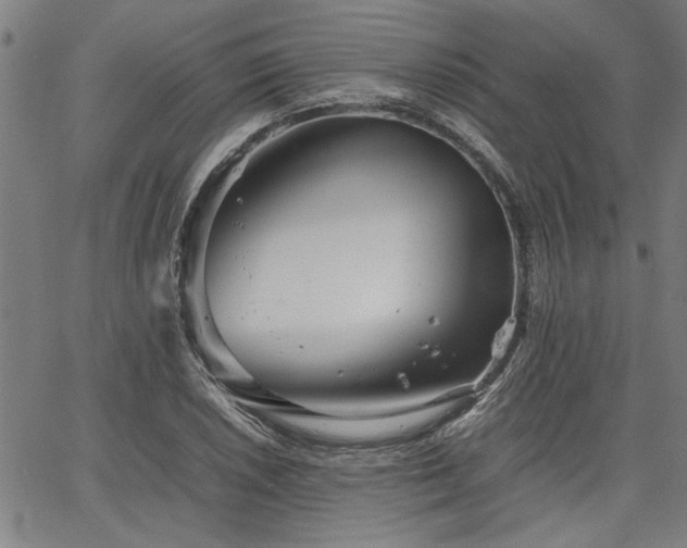 X0000067481026200604071133