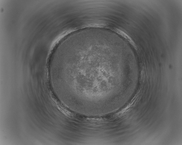 X0000067481027200604071133