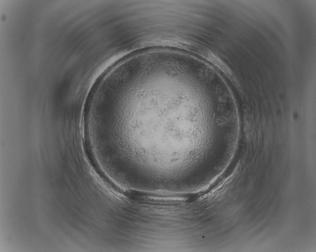 X0000067481028200604071133