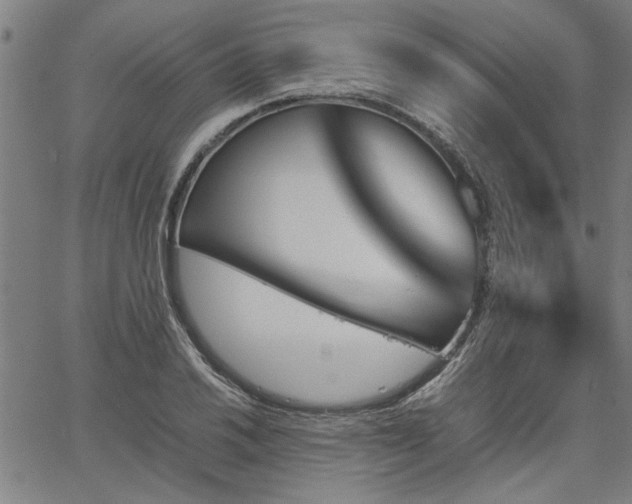 X0000067481030200604071133