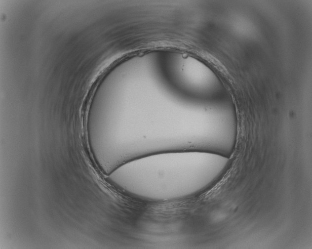 X0000067481031200604071133