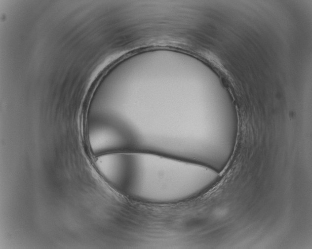 X0000067481032200604071133