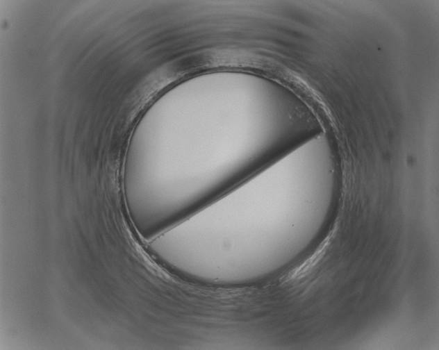 X0000067481033200604071133