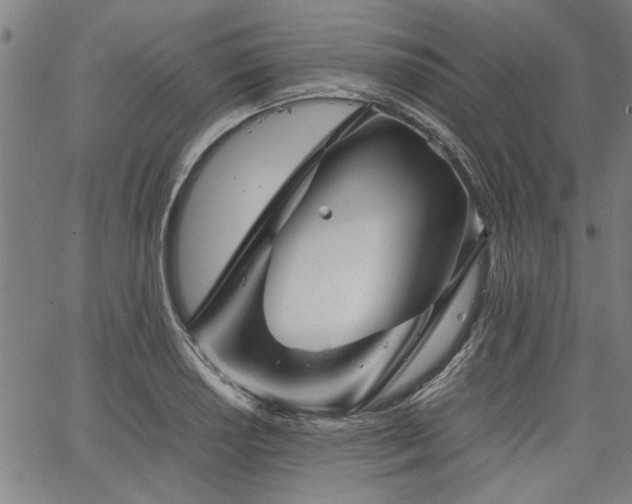 X0000067481034200604071134