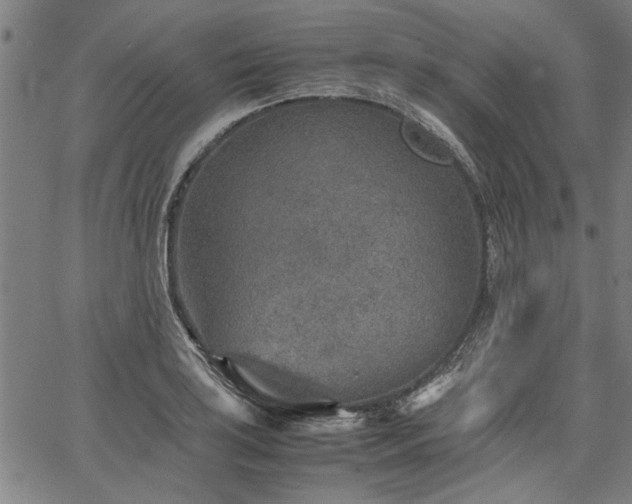 X0000067481035200604071134