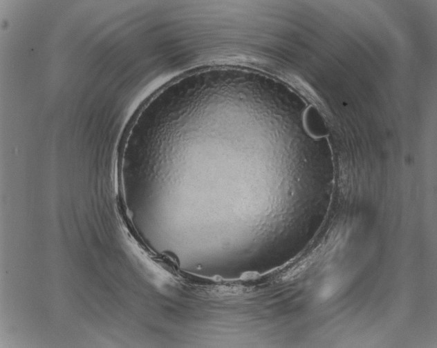 X0000067481036200604071134