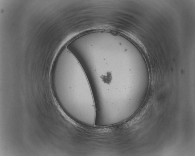 X0000067481037200604071134