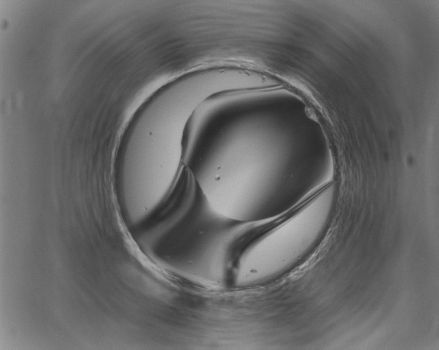 X0000067481038200604071134