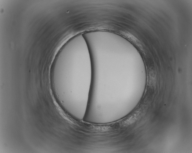 X0000067481039200604071134