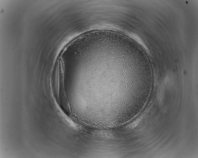 X0000067481040200604071134