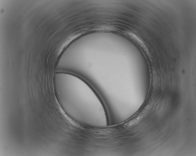 X0000067481041200604071134