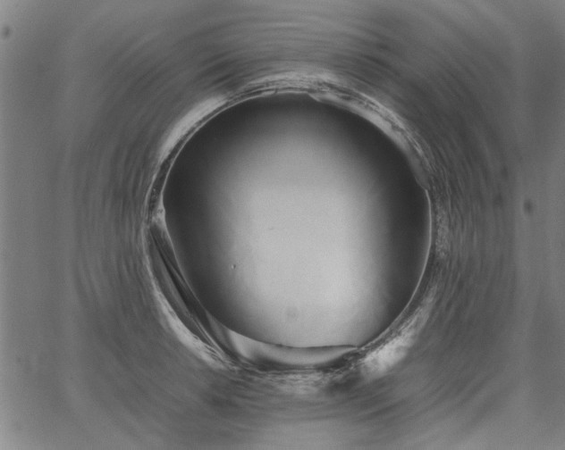 X0000067481042200604071134