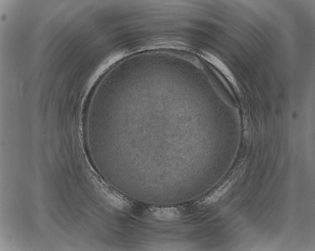 X0000067481043200604071134