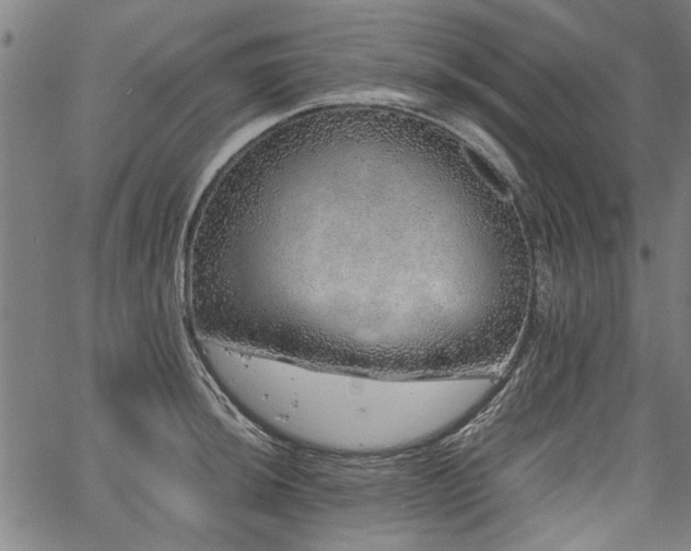 X0000067481044200604071134