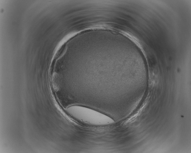 X0000067481045200604071134