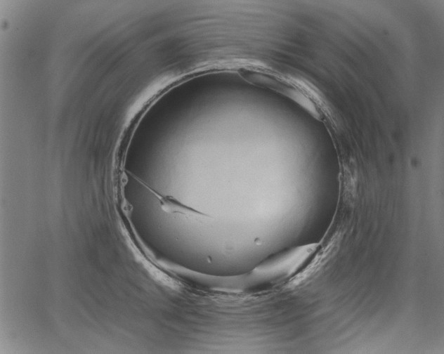 X0000067481046200604071134