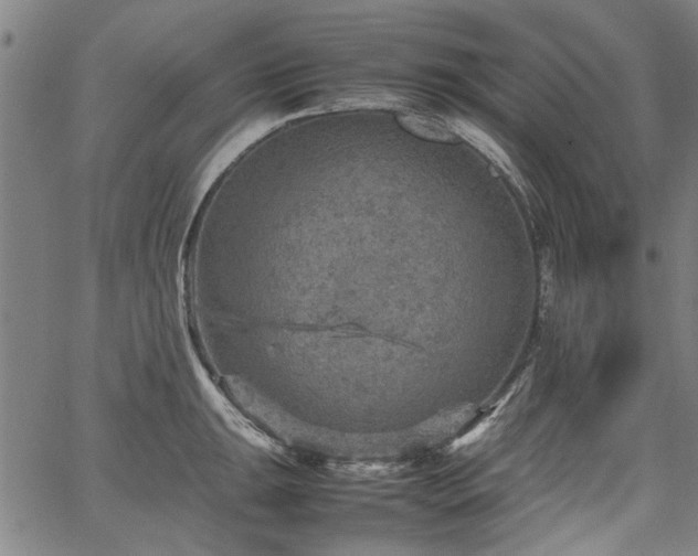 X0000067481047200604071134