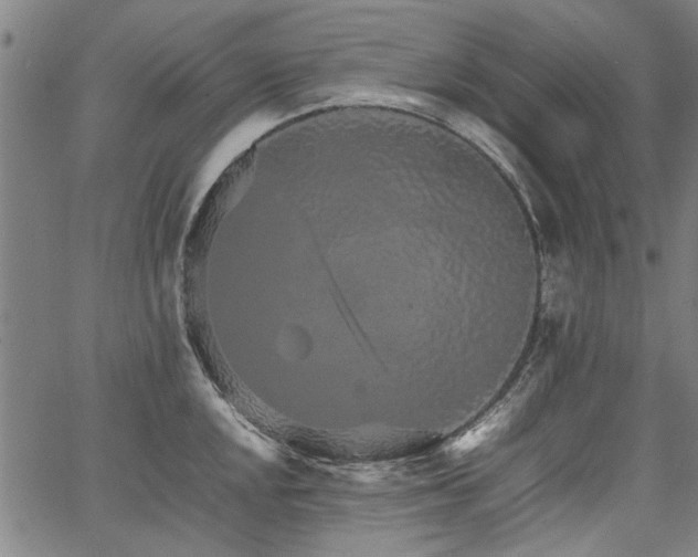 X0000067481048200604071134