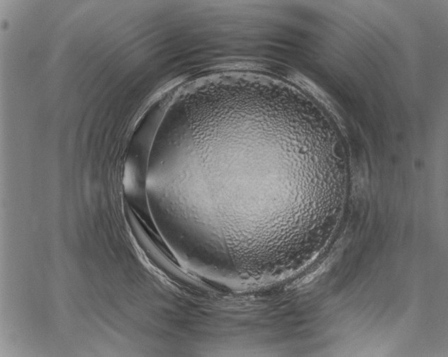 X0000067481049200604071134