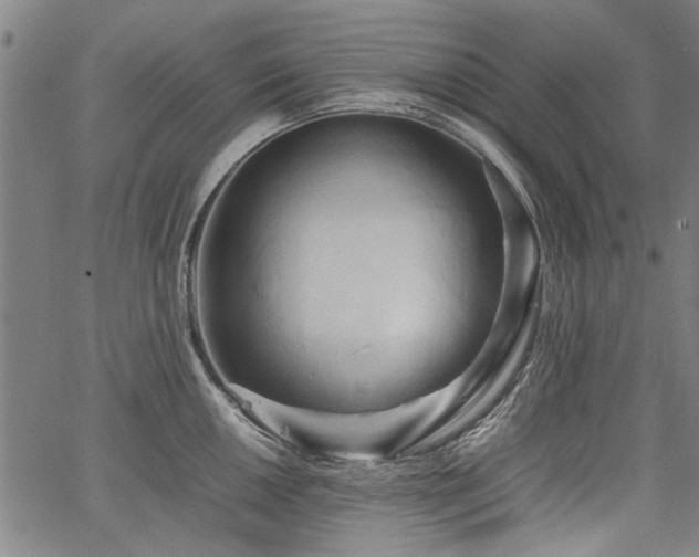 X0000067481050200604071134