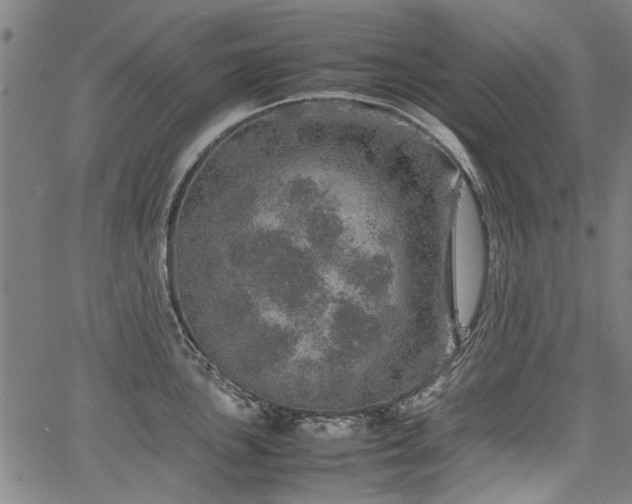 X0000067481051200604071134