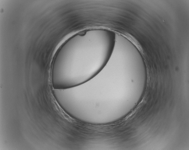 X0000067481052200604071134