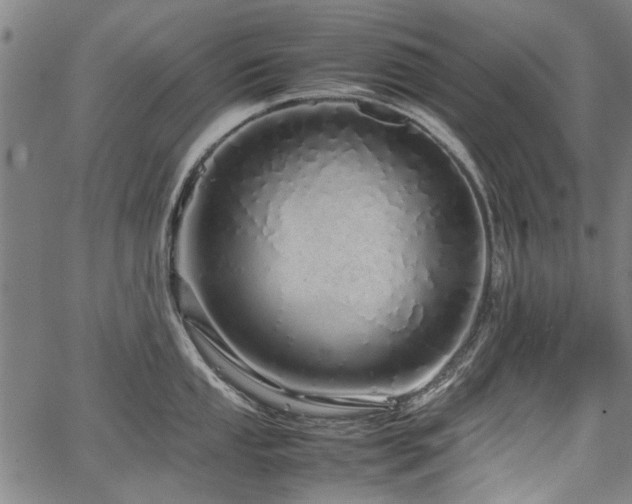 X0000067481053200604071134