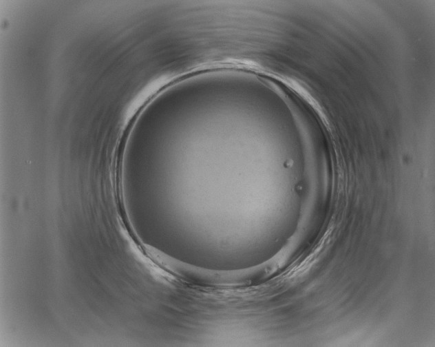 X0000067481054200604071134